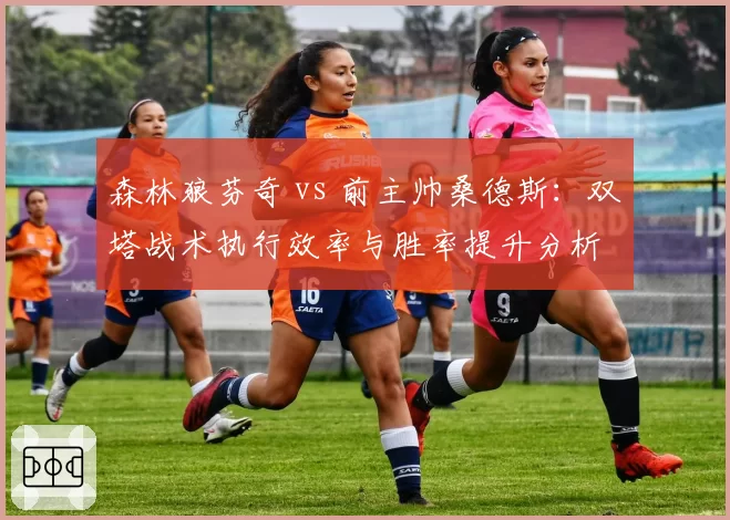森林狼芬奇 vs 前主帅桑德斯：双塔战术执行效率与胜率提升分析
