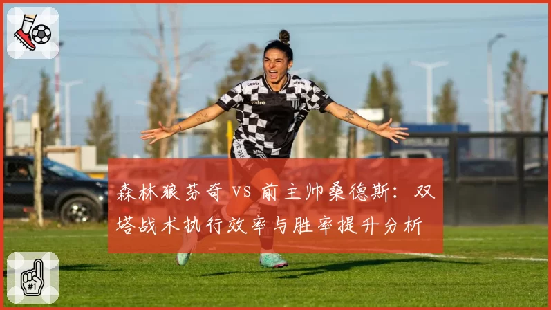 森林狼芬奇 vs 前主帅桑德斯：双塔战术执行效率与胜率提升分析