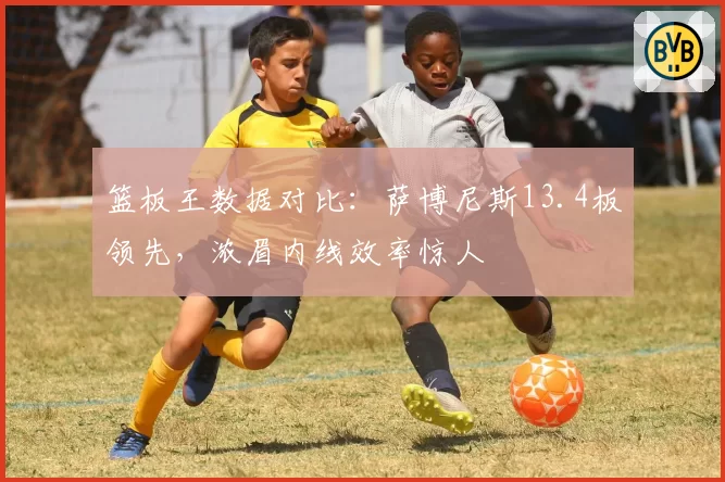 篮板王数据对比：萨博尼斯13.4板领先，浓眉内线效率惊人