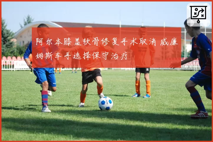 阿尔本膝盖软骨修复手术取消 威廉姆斯车手选择保守治疗