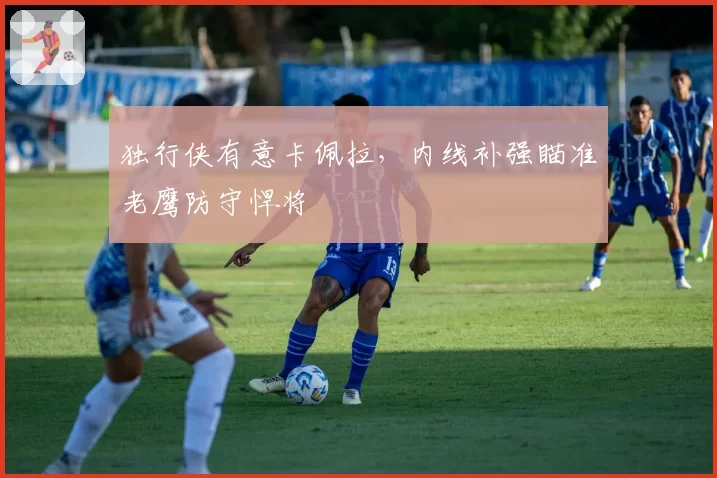 独行侠有意卡佩拉，内线补强瞄准老鹰防守悍将